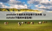 youtube下载的文件在哪个文件夹（youtube下载的内容在哪）