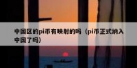 中国区的pi币有映射的吗（pi币正式纳入中国了吗）