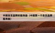 中国自主品牌的服务器（中国第一个自主品牌服务器）