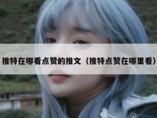 推特在哪看点赞的推文（推特点赞在哪里看）