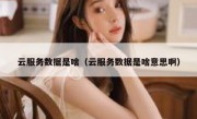 云服务数据是啥（云服务数据是啥意思啊）