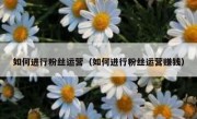 如何进行粉丝运营（如何进行粉丝运营赚钱）