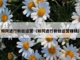 如何进行粉丝运营（如何进行粉丝运营赚钱）