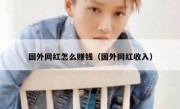 国外网红怎么赚钱（国外网红收入）