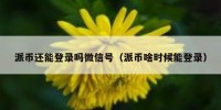 派币还能登录吗微信号（派币啥时候能登录）