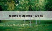 特推的意思（特推出是什么意思）