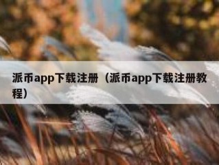 派币app下载注册（派币app下载注册教程）