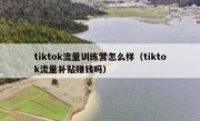 tiktok流量训练营怎么样（tiktok流量补贴赚钱吗）