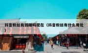 抖音粉丝有钱赚吗现在（抖音粉丝有什么用处）