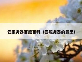 云服务器百度百科（云服务器的意思）