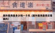 国外服务器多少钱一个月（国外服务器贵还是国内）