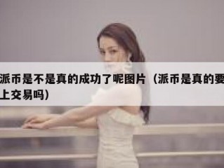 派币是不是真的成功了呢图片（派币是真的要上交易吗）