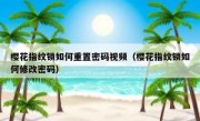 樱花指纹锁如何重置密码视频（樱花指纹锁如何修改密码）