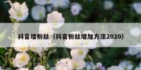 抖音增粉丝（抖音粉丝增加方法2020）