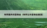 如何提升抖音粉丝（如何让抖音粉丝暴涨）