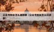 公众号粉丝怎么建群聊（公众号粉丝怎么拉进群）
