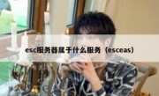 esc服务器属于什么服务（esceas）