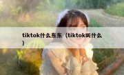 tiktok什么东东（tiktok叫什么）