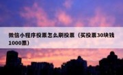 微信小程序投票怎么刷投票（买投票30块钱1000票）