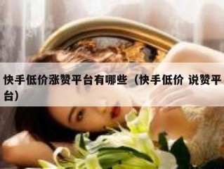 快手低价涨赞平台有哪些（快手低价 说赞平台）