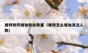 推特如何增加粉丝数量（推特怎么增加关注人数）