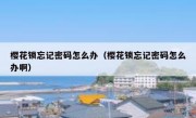 樱花锁忘记密码怎么办（樱花锁忘记密码怎么办啊）
