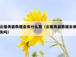云服务器数据盘有什么用（云服务器数据会丢失吗）