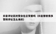 抖音评论区的赞会在总赞里吗（抖音那些很多赞和评论怎么来的）