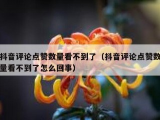 抖音评论点赞数量看不到了（抖音评论点赞数量看不到了怎么回事）