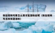 微信视频号要怎么做才能涨粉丝呢（微信视频号怎样快速涨粉）
