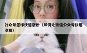 公众号怎样快速涨粉（如何让微信公众号快速涨粉）