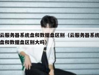 云服务器系统盘和数据盘区别（云服务器系统盘和数据盘区别大吗）