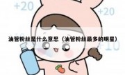 油管粉丝是什么意思（油管粉丝最多的明星）