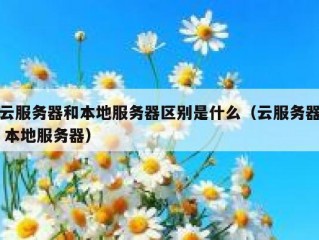 云服务器和本地服务器区别是什么（云服务器 本地服务器）