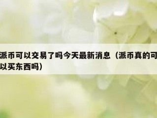 派币可以交易了吗今天最新消息（派币真的可以买东西吗）