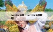 twitter运营（twitter运营规则）