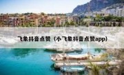 飞象抖音点赞（小飞象抖音点赞app）
