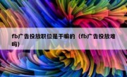 fb广告投放职位是干嘛的（fb广告投放难吗）