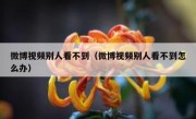 微博视频别人看不到（微博视频别人看不到怎么办）