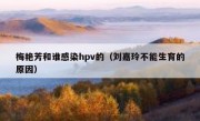 梅艳芳和谁感染hpv的（刘嘉玲不能生育的原因）