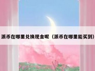 派币在哪里兑换现金呢（派币在哪里能买到）