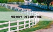 樱花微信号（樱花微信背景图）