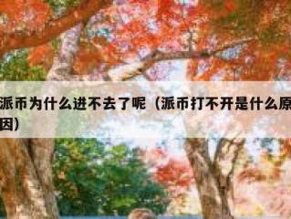 派币为什么进不去了呢（派币打不开是什么原因）