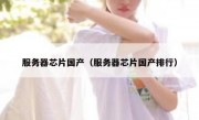 服务器芯片国产（服务器芯片国产排行）