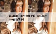 ins自助下单平台哪个好（instagram自助下单）
