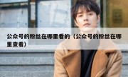 公众号的粉丝在哪里看的（公众号的粉丝在哪里查看）