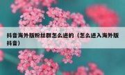 抖音海外版粉丝群怎么进的（怎么进入海外版抖音）