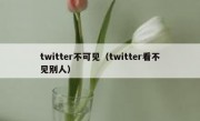 twitter不可见（twitter看不见别人）