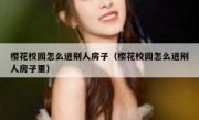 樱花校园怎么进别人房子（樱花校园怎么进别人房子里）