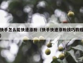 快手怎么能快速涨粉（快手快速涨粉技巧教程）